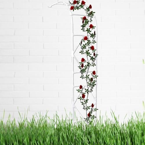 Arche de jardin en métal pour plantes grimpantes - Résistante aux intempéries - Décoration extérieure - Grande arche semi-latérale - 3 x 2,4 m - Blanc - Design élégant