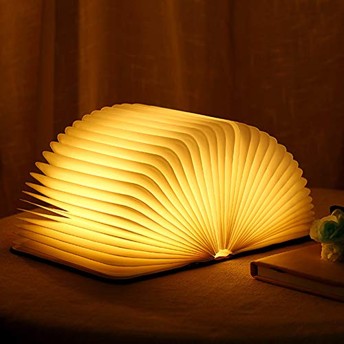 Molbory Éclairage d'ambiance LED, Rechargeable par USB, Blanc chaud Blanc 17x14x2.5cm