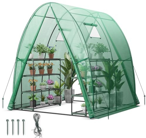 GOPLUS Gewächshaus, Tomatengewächshaus mit PE-Abdeckung & Metallrahmen, begehbares Foliengewächshaus mit Aufrollfenster & Aufrolltor, Treibhaus für Blumen, Pflanzen, 181 x 181 x 200 cm (Grün)