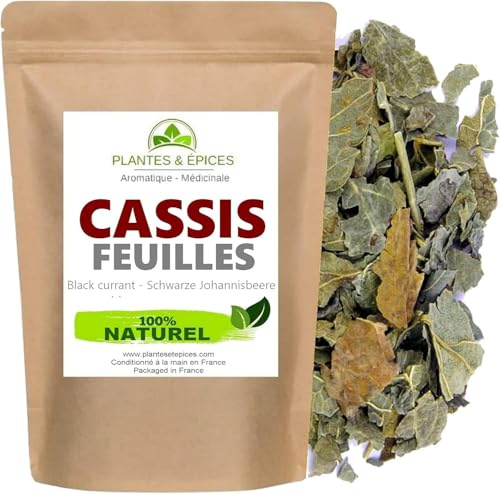 Piante & Spezie - Foglie di ribes organico, ideale per infusione tisana biologica 100 g