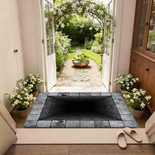 Generisch 3D Optical Illusion Dirt-Trapping Mat, Carpet for Indoor and Outdoor Use, Non-Slip Decorative Welcome Mat, Creative Doormat for Front Door, Bedroom, Living Room, F1 60x40cm