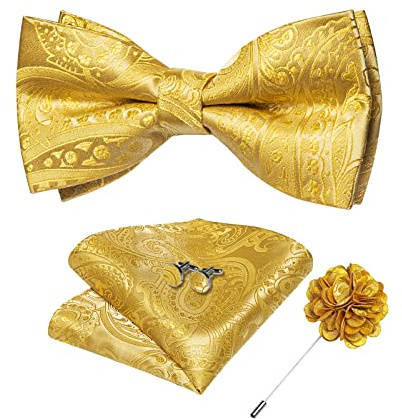 DiBanGu Silk Paisley Bow Tie for Men with Pocket Square Lapel Pin Cufflinks Pre-tied Bowtie Set for Wedding Party Prom