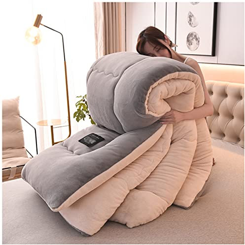 ZTGL Steppdecke, Flauschige Kaschmir Steppdecken für Allergiker Duvet, Verdicken Sie Lamm Kaschmir Decke Winter Weiche Warme Bettdecke Bettwäsche, Machine Washable,Grau,150x200cm(3.5kg)