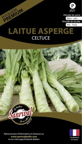 Graines potagères Premium laitue Asperge