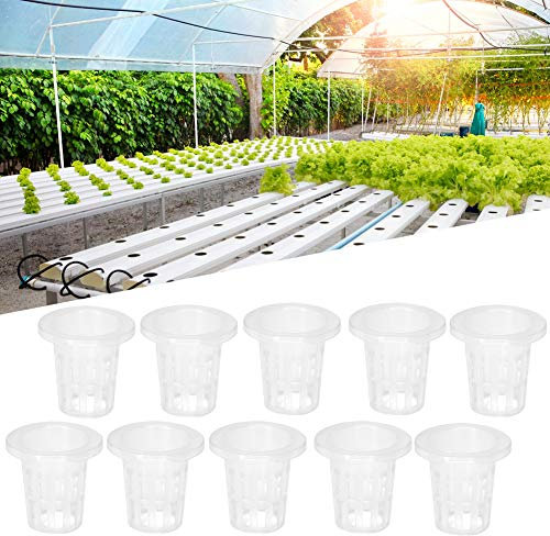 aqxreight Set di Tazze in Plastica per Cestini Idroponici, Traspiranti, Sicuri, per Piantare Balconi da Giardino
