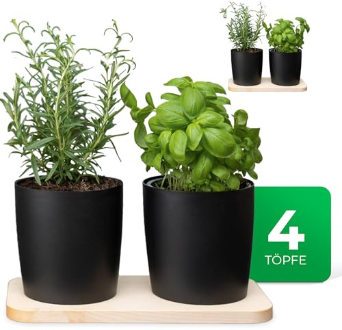 Novaliv Stilvolle Kräuterstation 4er Set mit Holzunterlage und 4 Kräutertöpfe für Jede Fensterbank, Für frische Küchenkräuter, Kräutergarten für die küche, Kräuterbeet Indoor, Blumentopf, Übertopf