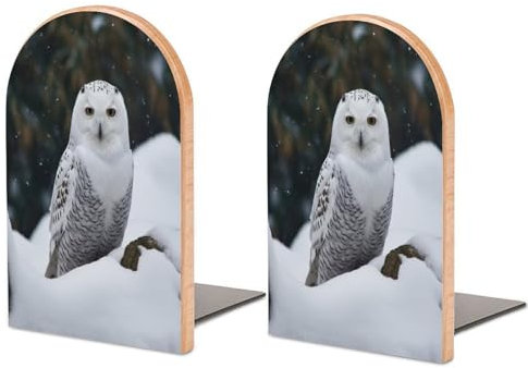 Buchstützen für Regale, Buchstützen für schwere Bücherhalter für Büro, Zuhause, Bibliothek, Buchstützen, robustes Bücherregal mit Schnee-Eulen-Druck