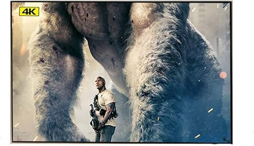 Projection Screen, Ambient Light Rejecting ALR 80-133 Inch Fixed Thin Frame Projector Screen for Home Theater Projection (120 inch)