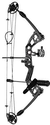 Right Hand Compound Bow Hunting Archery Set for Adults 24-29.5 Draw 30-55lbs w/ 3-Pin Lighted Sight, Quiver, Stabilizer & 12 Arrows