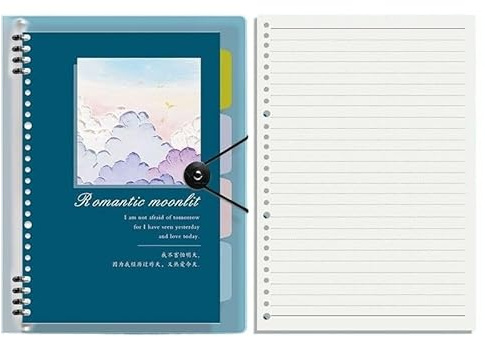 DVMSIEF anteckningsbok med lösa blad vintage oljemålning, reptålig, lösa blad, avtagbar horisontell anteckningsblock, förtjockad och förenklad (D,A5)