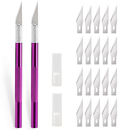 EHDIS 2 pezzi Cutter Precisione con 20 lame, coltello artigianale, coltello hobby, coltello da intaglio, taglierino per lavoro artistico fai da te taglio, scultura, pellicola per vetri, viola