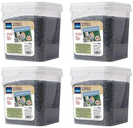 Seau de graines de Tournesol Noir 2 kgs pour Oiseau de la Nature - Lot de 4