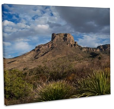 3dRose Casa Grande Peak, Chisos Basin, Big Bend National Park, Texas, USA. Museum Grade Canvas Wrap 20x16
