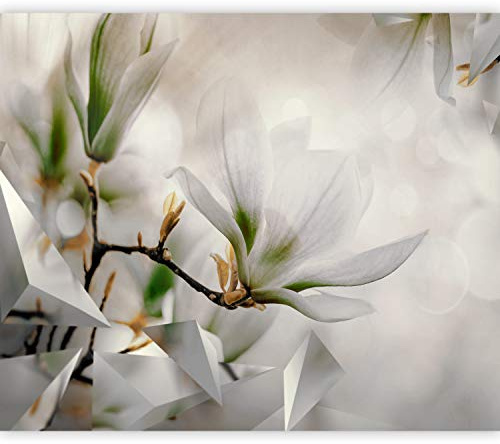murando Fototapete selbstklebend Abstrakt 196x140cm Foto Tapete Tapetenfolie Möbelfolie Wandverkleidung Wandtapete Motivtapeten Bildtapete Wohnzimmer 3d Effekt Modern Blumen Magnolien weiß 3D