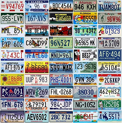 OPO 10 Set di 50 targhe degli Stati Uniti - Replica di targhe automobilistiche USA in Vero Metallo USA