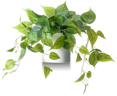 Plantes artificielles d'intérieur - Plantes artificielles pour décoration d'intérieur - Pothos - Petites Plantes artificielles pour décoration d'intérieur et d'extérieur - Pot Blanc