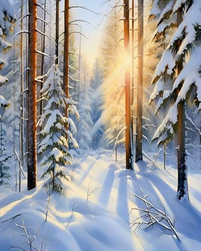 PIPISKY DIY einfache Acryl-Malen-nach-Zahlen-Sets auf Leinwand,Die Sonne scheint durch den verschneiten Wald,Ölgemälde-Set für Heimdekoration,Geschenke,40x50cm,ohne Rahmen