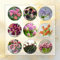 15 Pcs Tulpenzwiebeln Mischung, Tulpen Zwiebeln, Blumen Geschenk, Deko Wohnzimmer Wildtulpen Zwiebeln - Tulipa Gesneriana - Blühwiese Mehrjährig, Geschenk Garten Deko Blumen, Topfpflanzen