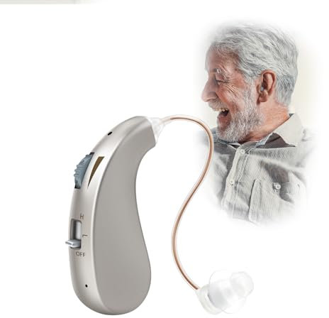 Britzgo Eine neue Erfahrung Digitale Signalverarbeitungstechnologie Wiederaufladbares Gerät (Silber)