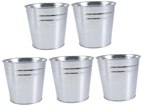 SOIMISS 5pièces Lot de Pots Fleurs Vintage Fer pour Jardin Décoration Intérieur Mariage Fenêtre Fond Argent