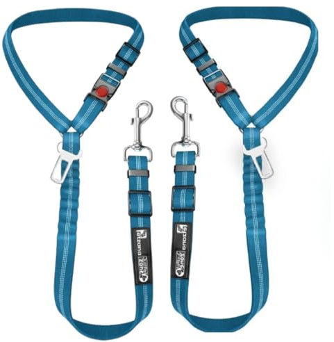 Comfortable Dog Seat Belt Harness for Car - 2-in-1 Leash and Restraint Secures to Headrest. Adjustable Bungee, Strong, Durable, 360 Degree Swivel Attach Won't Twist, Reflective, Easy to Use (Blue)