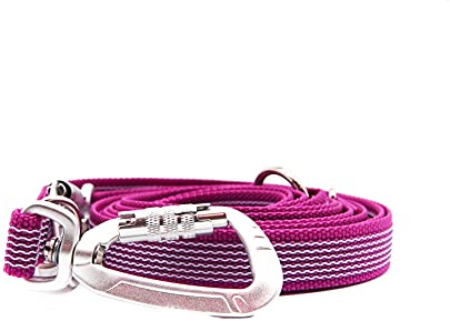 Twinkys Dog Style Dreifach verstellbare Hundeleine gummiert 20 mm breit mit Sicherheitskarabiner 3 Meter Pink