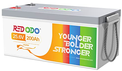 Redodo 24V 200Ah LiFePO4 Batteria al litio con BMS 200A, capacità energetica max. 5120Wh, 4000-15000 cicli profondi, alimentazione di back-up del sistema solare, camper, trolling motor, ecc. | BMS 200A, 5120Wh, 4000-15000 Cicli, 10 Anni di Durata, Max 4P2S, IP65 Adatta Anche per Fuori Rete, Alimentazioni di Emergenza
