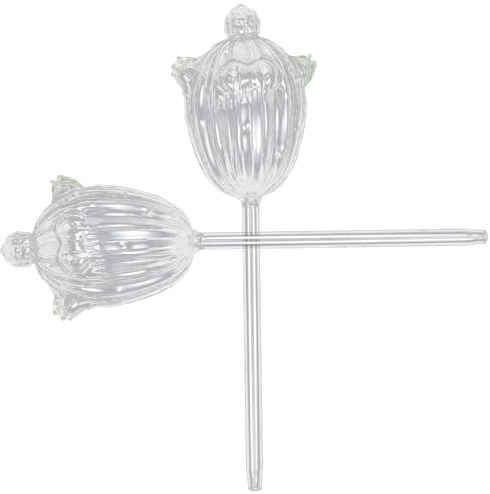 Gadpiparty 2 Bulbi per Irrigazione Automatica in Vetro a Forma di Cactus 9X26 CM Annaffiatoio Automatico per Piante da Interno Metodo di Irrigazione per Vaso per Uso Domestico e Viaggi