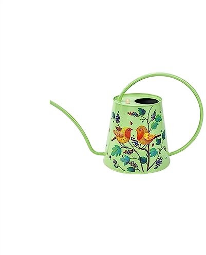 Regaderas Regadera de Acero Inoxidable de 2 l, regadera for Interiores y Exteriores for Plantas de Interior, regadera de Agua con caño Largo for suculentas Flores de jardín bonsái Regadera de Jardin