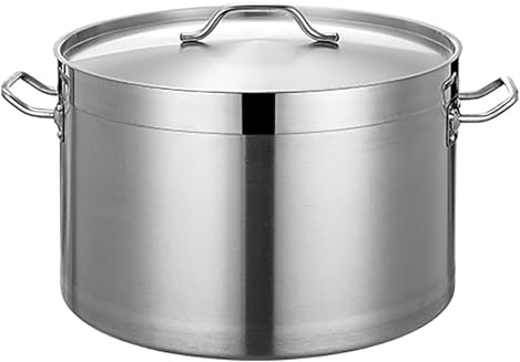 ASerZenith Pentola in Acciaio Inox, pentola a induzione con Coperchio, pentola Multiuso per Salse/pentola da Cucina/pentola a Cottura lenta, per fornelli a Gas/fornelli a induzione(One Color-32L)