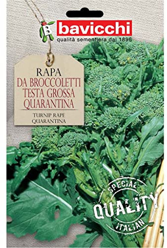 Semi rapa da broccoletti quarantina 500g