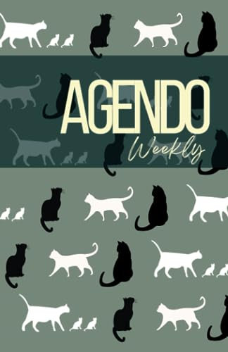AGENDO: a planner for us suffering from endometriosis. WEEKLY planner, TWO PAGES per week. INTERMEDIATE Endo tracker to write a bit of everything. SMALL size. 12-months. Undated