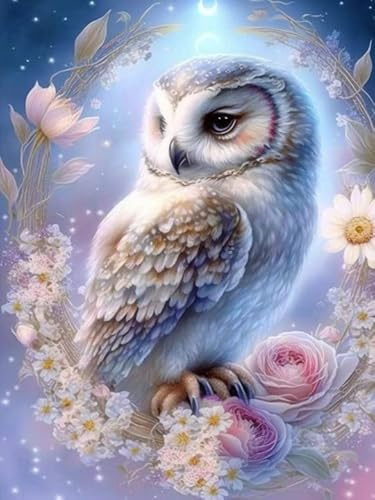 VAIIEYO 5D DIY Diamond Painting Uggla, Diamantmålning Kit Djur, Strass Broderi Korsstygn Kit Tillbehör Konst Hantverk Kanvas Väggdekor Klistermärken Heminredning 30 x 40 cm-103