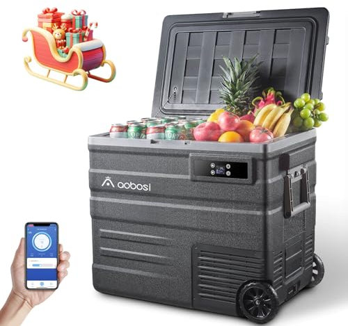 AAOBOSI 65L Kompressor Kühlbox, Kühlbox Auto mit APP, LED-Beleuchtung, -20°C bis 20°C, 12/24V und 100-240V, Kühlbox Kompressor mit Rädern, für Auto, Buggy, LKW, Boot, Camping und Reisen