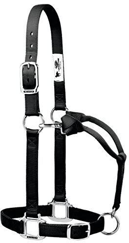 Weaver Leather 35-7374-BK Original verstellbares Nylonhalfter mit verchromten Beschlägen, schwarz, 2,5 cm kleines Pferd