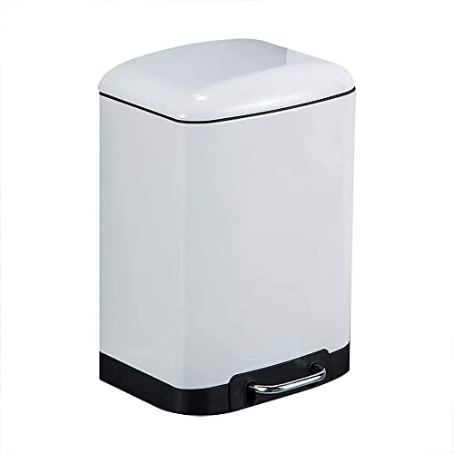 ZFLHIOR Pattumiera a Pedale con Coperchio a Chiusura Ammortizzata in Acciaio inox/B/12L, Argento bianco-12L