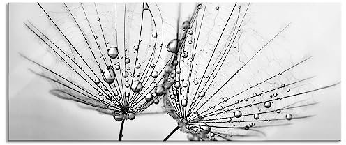 Pixxprint Glasbild Panorama, Wandbild aus Echtglas, Pusteblumen mit Tautropfen, 120x50 cm, inkl. Aufhängung und Abstandshalter