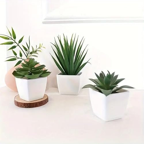 3 Piece Artificial Succulent Plants in White Planters, Mini Desk Decor