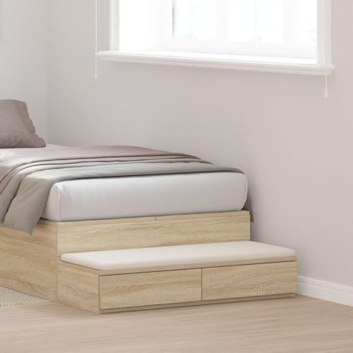 Brokky 866925 Cassetti per Letto Rovere Sonoma 80x36,5x16,5 cm Legno ingegnerizzato cassettoni sottoletto,Legno Composito