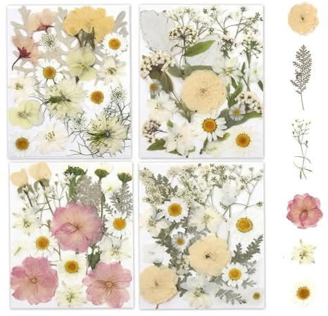 BellaBlend 80 st torkade blommor för hantverk, äkta naturliga torkade pressade blommor i mjuk gul, vit, rosa toner för harts, gör-det-själv-konst, smycken, ljus och tvåltillverkning pincett ingår