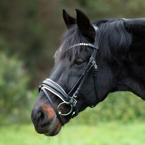 Heinick Trense Custom Schnallen Weiss Schnellwechselsystem ~ Warmblut ~