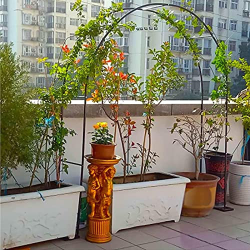 Arche Jardin pour Rosiers Plantes Grimpantes, Metal Arceau à Rosiers, Arche de Rosiers Vigne Mariage, Pergola Tonnelle de Jardin, Intérieur Extérieur Décoration de Fête,350x220x40CM