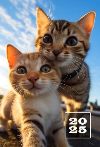 2025: A6 Terminkalender für Katzenliebhaber | 1 Woche auf 2 Seiten Wochenplaner | Mini Buchkalender mit Datum | Einfach, Klein & Kompakt | Süße Kätzchen