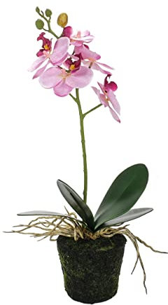 Bubble Store Künstliche Orchidee in Vorgeformter Kunsterde, täuschend echt wirkende Phalaenopsis-Orchidee mit 5 rosa roten Blüten, Knospen, 4 Blättern, Luftwurzeln, bemooster Erde