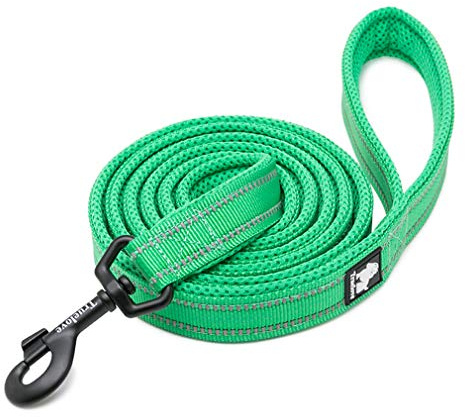 WINHYEPET True Love Chien Laisse Nylon Réfléchissant Poignée Confortable Lead Puppy Training Marche Corde Contrôle Facile Applicable à Toutes Les Races Longueur 200 cm TLL2111(Vert Herbe,L) | Truelove Laisse avec Poignée Confortable pour le Dressage des Chiots et les Promenades, Facile à Manier