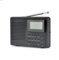 LLOYTRON DAB+ / FM Personal Radio - Headphone Socket - Digital LCD Display - Alarm Clock - 2w Speaker - 3 x AAA Battery Operated - N5201BK - Black