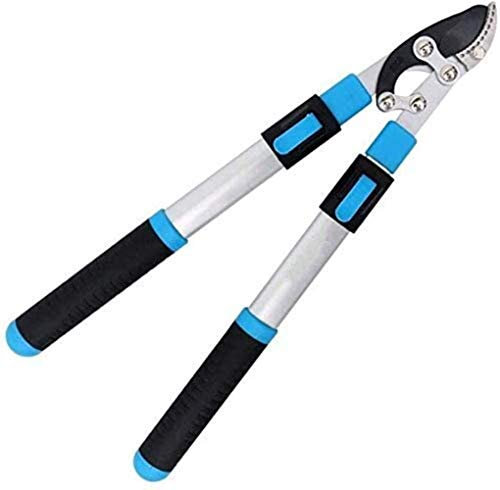 Tijeras de podar telescópicas Extensibles de Mano, Mango Resistente, Hoja de Carbono Afilada, Herramienta de Corte de Calidad para Toda la Familia.