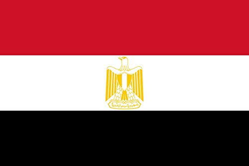 magFlags Drapeau Large Egypt Coat of Arms Variant | Egypt Coat of Arms Variant Color and Eagle Head Design | Drapeau Paysage | 1.35m² | 90x150cm