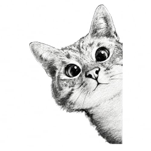 GIVBRO Aufnäher zum Aufbügeln, Katzen, Wärmeübertragung, Applikationen, Aufkleber, Bügelflicken für Kinder, T-Shirt, Kappe, DIY-Zubehör, S