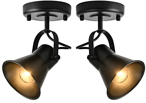 SEEBLEN Track Light Modern Ceiling Spot Lighting Indoor, Adjustable Wall Mount Accent Light,for Bedroom Living Room Hallway Kitchen Painting(2 Pack)